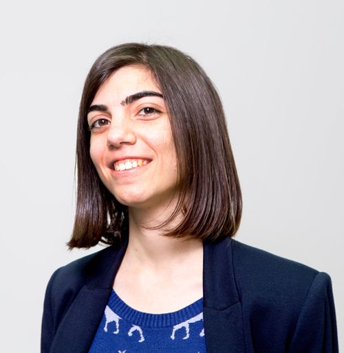 צילום: שלומי יוסף