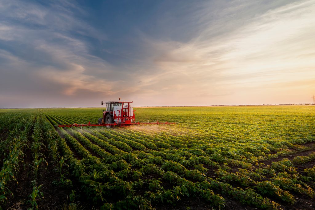 חקלאות אילוסטרציה. צילום: Shutterstock