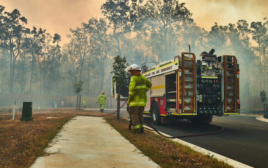 שריפות באוסטרליה | צילום: Shutterstock
