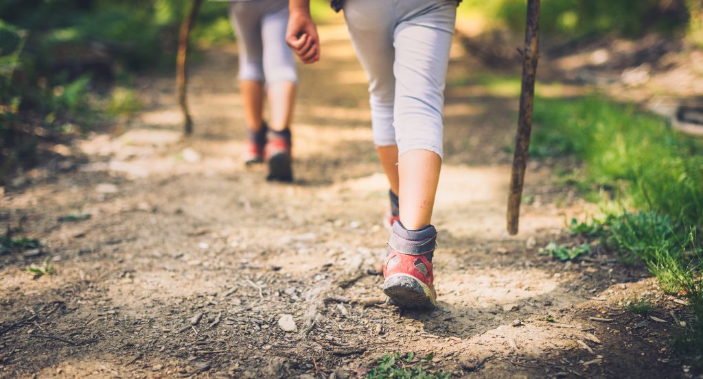 הליכה בחיק הטבע יכולה להיות יעילה בהפגת מתחים | צילום: Shutterstock