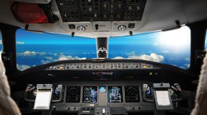 כאן הקפטן האוטונומי שלכם | צילום: Shutterstock