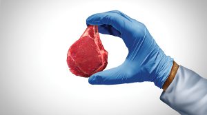 בחמש השנים האחרונות הושקעו מיליארדים ביותר מ-100 הסטארט-אפים בתעשיית הבשר המתורבת | צילום: Shutterstock