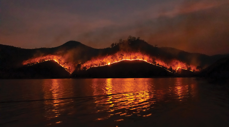 שבע מתוך 10 השרפות ההרסניות ביותר בקליפורניה התרחשו בחמש השנים האחרונות | צילום: y sippakorn yamkasikorn, Unsplash