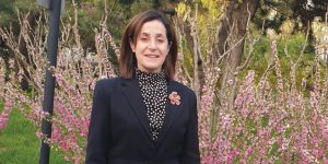 אירית בן אבא