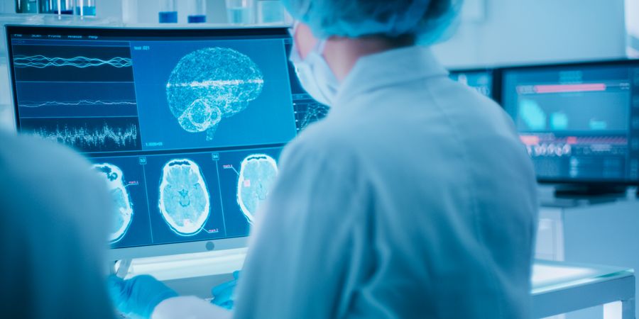 "הבנו שתפקוד מוח בריא תלוי במערכת החיסון. זה היה וואו" | צילום: Shutterstock