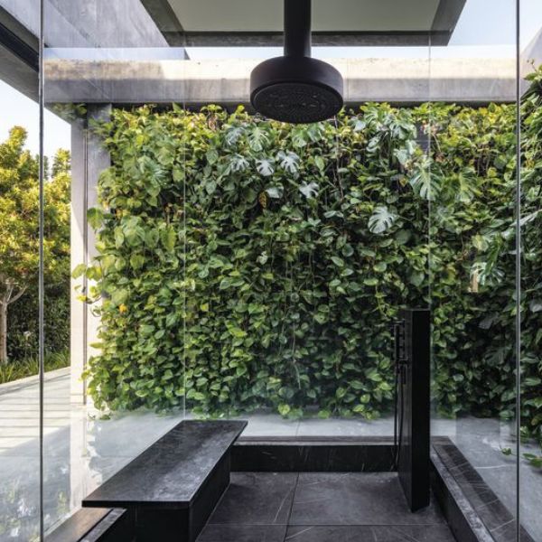 פיצו קדם צילום: עמית גרון