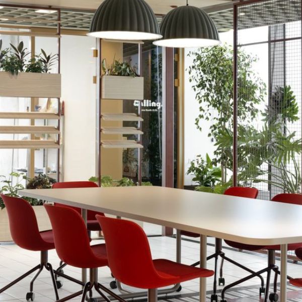 ערן נעים צילום: גדעון לוין