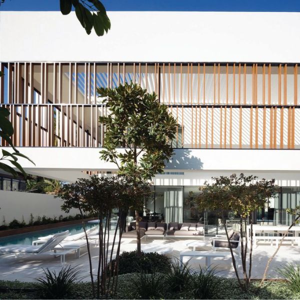 מיקי טרבס צילום: עודד סמדר